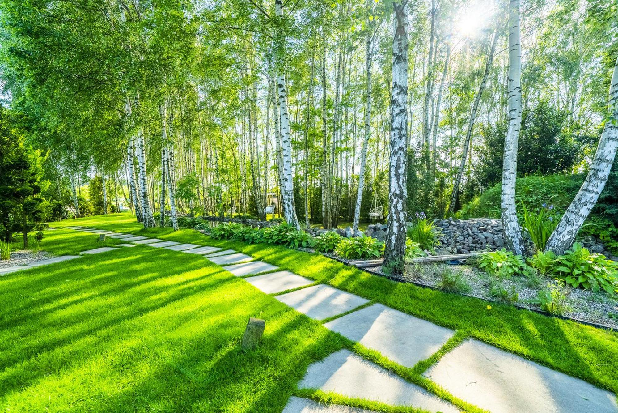 Nowa Dana Osrodek Wypoczynkowy Apartment Lebcz Exterior foto